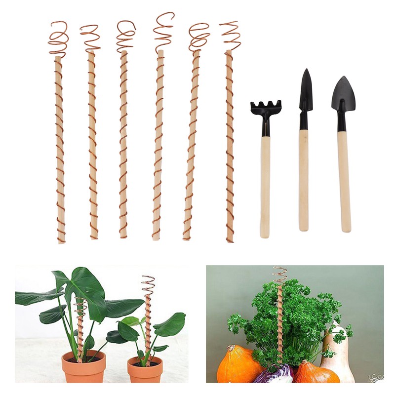 6PCS Electroculture Plant Stakes 10 Inch Natural Wood Stake Wrapped
