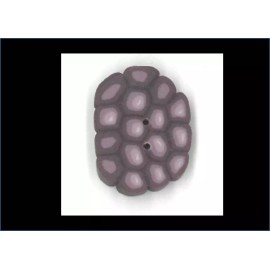 Just Another Button Company - Small Blackberry