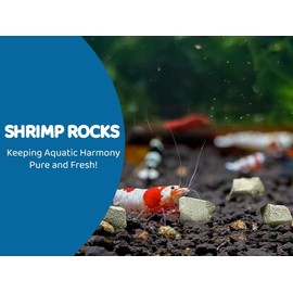 Shrimp Rocks, Calcium, Magnesium Rocks for Crayfish, Hermit Crab, Snails, Crustacean Care, Aquarium Decor for Crystal Red, Amano and Ghost Shrimps, Nano Tank Accessories, Fish Tank Supplies