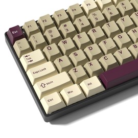 PBT Keycaps Set,Double Shot 137 Keys Cherry Profile, White Grey Purple Custom Keycap Kit for 60% 65% 75% 87 104 108 Layout Mechanical Keyboards, MX Switch Compatible