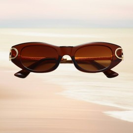 ADE WU Retro Oval Sunglasses 90s Designer Inspired Oval Frame Sun Glasses with Gold Metal Link (Brown)