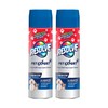 Resolve Pet Expert High Traffic, Carpet Foam, 22 Oz (Pack