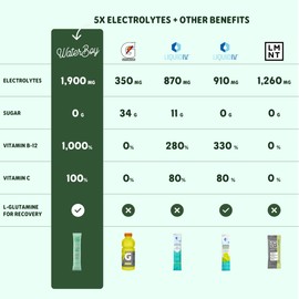 Waterboy Workout Hydration | 2,960mg Sugar Free Electrolyte Powder Packets | L-Glutamine + Vitamins | No Sugar, All Natural, Gluten Free | 15 Drink Stick Mixes (Lemon Lime)
