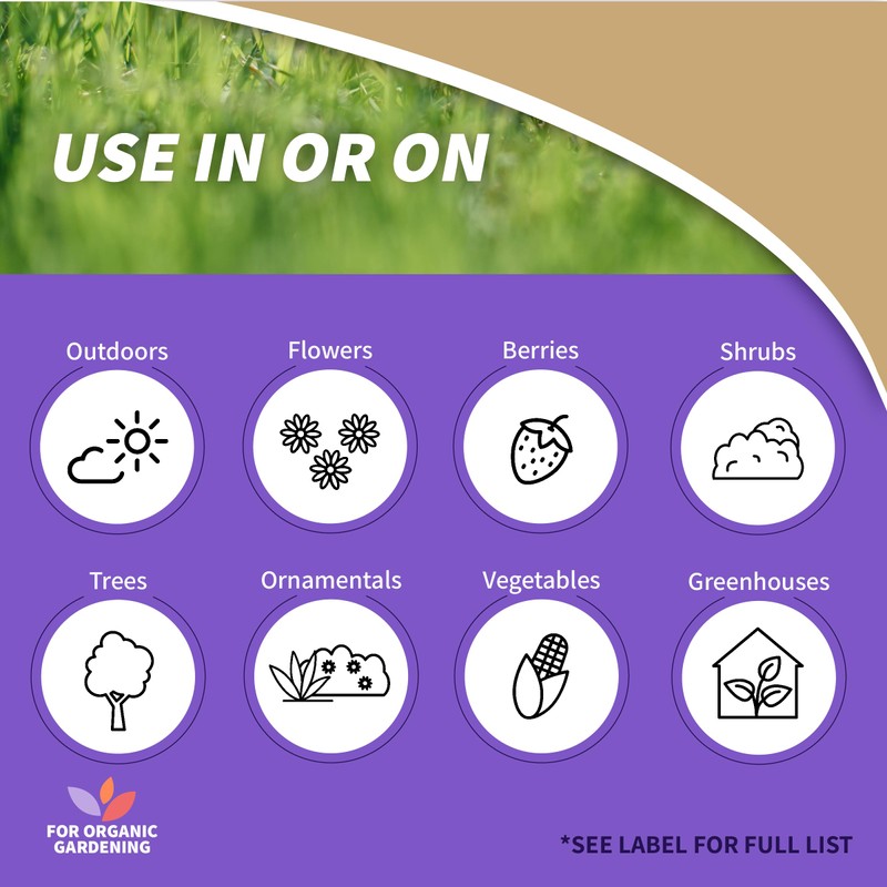 Bonide Captain Jack's Slug Magic Granules, 3 lbs. Snail &