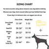 ShawnCo Essential Dog Harness, No-Pull Pet Vest with 3 Leash