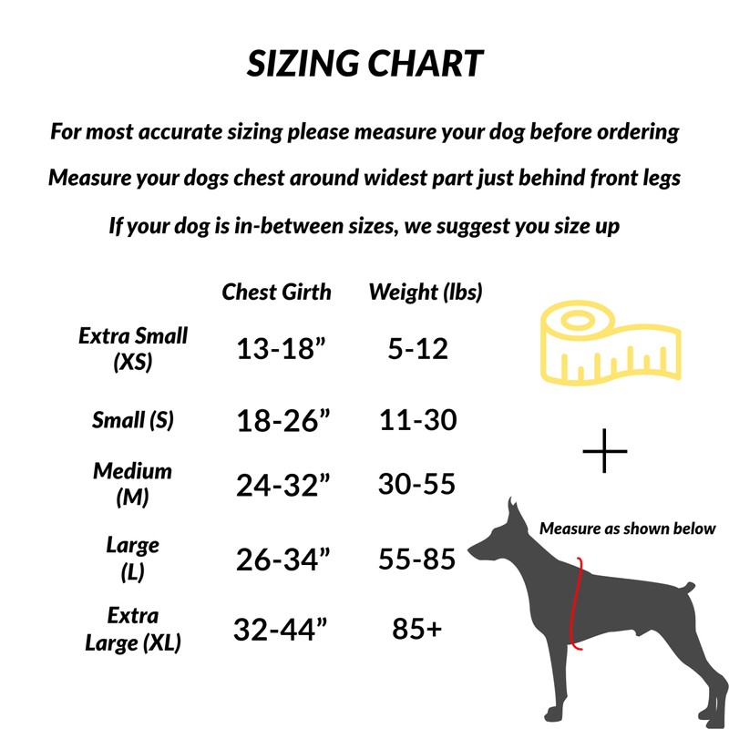 ShawnCo Essential Dog Harness, No-Pull Pet Vest with 3 Leash