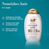 OGX, Shampoo Nutritivo de Leche de Coco, 385 ml