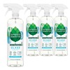 Seventh Generation Glass Cleaner, Biodegradable Formula, Sparkling Seaside Scent, 23