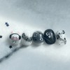 ♪ Melody Bear ♫ - Paddy / ♪ 멜로디베어 ♫
