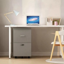 Unbranded File Cabinet with Two Drawers with Lock Office Storage Cabinet Low Cabinet Grey