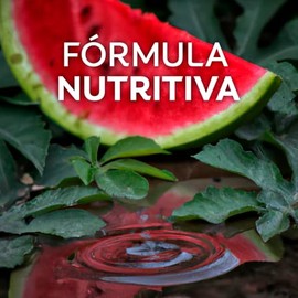 Palmolive Watermelon W Lychee