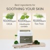 Mary&May [Mary&May]CICA Houttuynia Tea Tree Calming Mask (30ea)