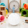 White Silent Exercise Ball Plastic Spinner Hamster Running for Sugar