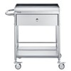Medical Cart, 2-Layer Stainless Steel Cart 220 lbs Weight Capacity,