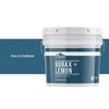Earthborn Elements Borax with Lemon Oil, 1 Gallon Bucket, Laundry