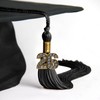 Endea Graduation Single Color Tassel with Gold Bling Charm (Black,