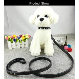 Newtensina Fashion Dogs Collar and Leash with Studs Soft Leather Punk Studded Dog Collar with Lead for Small Dogs - Black - L