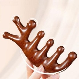 SS62 Scalp Gua Sha Massager Scalp Massager Neck Gua Sha Meridian / 에스에스62두피 괄사마사지기 두피마사지기 목괄사 경락