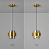 FDPBY Modern Gold Pendant Light with Smoke Gray Glass Shade