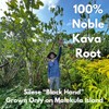 Instant Kava Tea Powder Silese - The Black Hand -