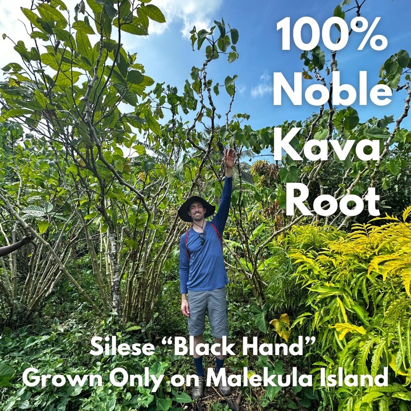 Instant Kava Tea Powder Silese - The Black Hand -