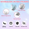 AIZUIWIY Individual Eyelashes Cluster Lashes Fluffy Wispy Lashes with Invisible