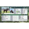 Winning Post 8 - PS Vita