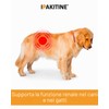 Vetoquinol Ipakitine | 60 g | Mangime complementare per cani