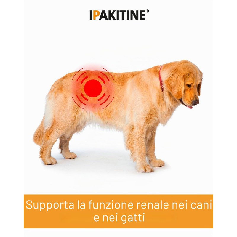 Vetoquinol Ipakitine | 60 g | Mangime complementare per cani