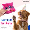Petbobi Interactive Dog Toys Monster Active Ball for Dogs with