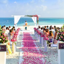 Whiosyrt Artificial Petals 1000 PCS Dark-Red Silk Rose Petals for Valentine's Day,Romantic Night,Wedding,Proposal Anniversary Flower Decorations, Event, Party, in Bulk(Pink)