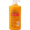 Kumano Yushi Four Seasons Shikioriori Persimmon Juice Body Soap 600ml
