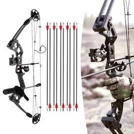 PIAOCAIYIN Compound Bow Kit with 12 Arrows, Adjustable Compound Bow for Adults, 3 Pin Lighted Sight Right Hand Archery Hunting Set for Outdoor Competition, Hunting ‎Black