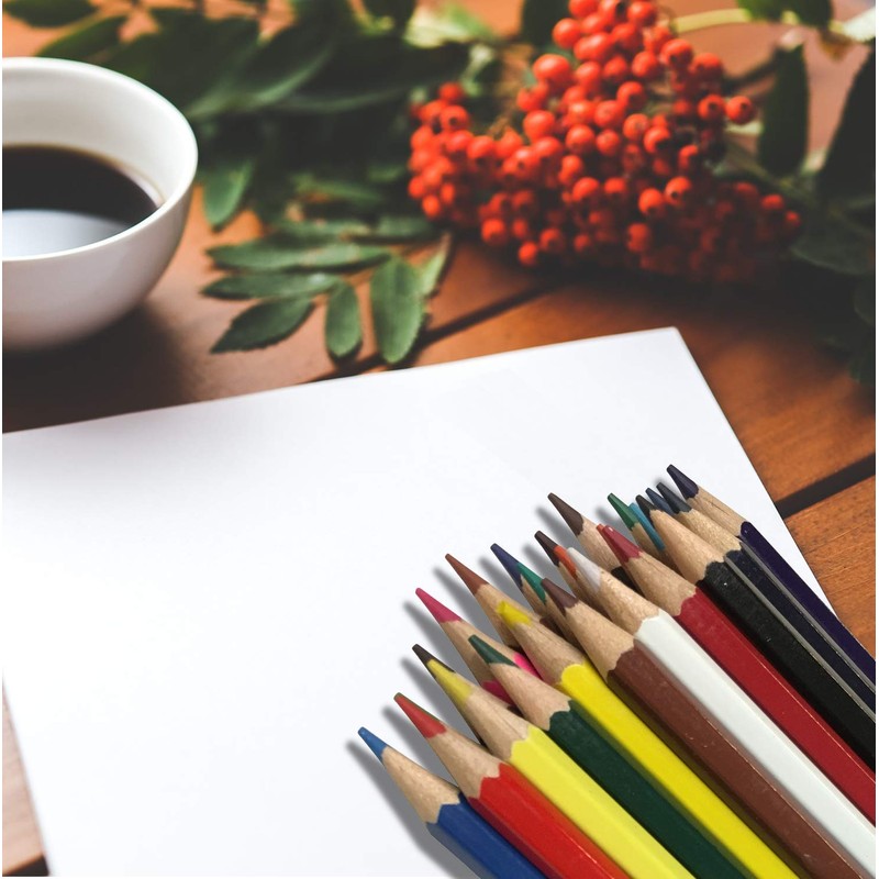 ARPAN Colouring Pencil - Assorted Colours Sharpened Long-Lasting Coloured Pencils