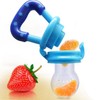 Fruit Feeder Pacifier - Blue
