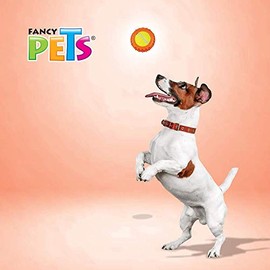 Fancy Pets Juguete con Pelota de Tenis para Perro