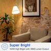 A21 Dimmable LED Light Bulb, Stable Heat Dissipation, 2,5000 Hour