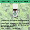 Conventional Essential Oils [10ml] Green