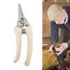 Hoof Trimmer White Goat Foot Shears Stainless Steel Carbon Steel