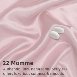 LINENOVA 100% Mulberry Silk Pillowcase for Hair and Skin, Both Sides 22 Momme Silk Queen Pillow Cover, Smooth Breathable Blush Pillow Case with Hidden Zipper, Gifts for Women 2 Pack(50 * 75cm)