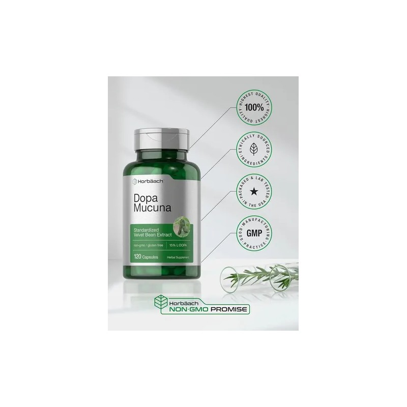 Horbäach Dopa Mucuna Suplemento | 120 cápsulas | Extracto de