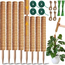4 Pcs Tutor para Plantas,con 2 Varilla Flexible para Musgo de 80 cm y 2 Tutor para Plantas Trepadoras de 60 cm, 5 Piezas de Accesorios, Poste de Musgo para Planta Monstera