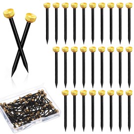 100pcs Picture Hanging Nails 1 Inch Brass Head Picture Pins Picture Hanging Hooks Steel Nails Wall Nails Small Nails with Plastic Box for Picture Frame Hanging Woodworking Wall Mounting - Black