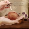 Persimmon Shape Aromatherapy Diffuser, Enhances Sleep, Easy Storage, Unique Design,