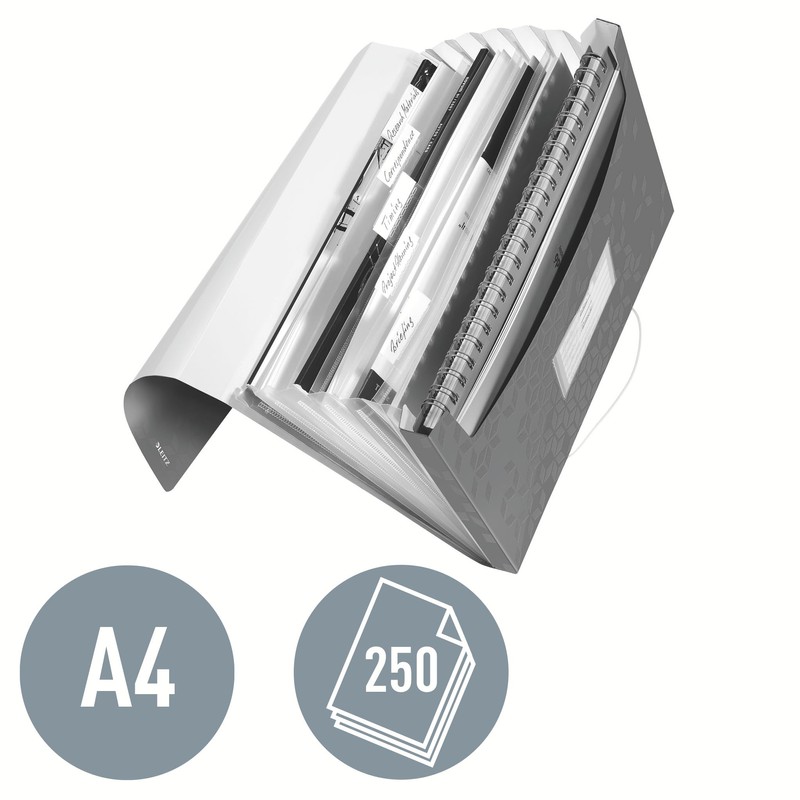 Leitz A4 Expanding File with 6 Compartments, Elastic Band Fastener,