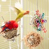 3 Pieces Bird Toy, Bird Parrot Toy, Parrot Toy, Budgie