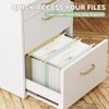 NORDUN Plastic Hanging File Folders Extra Capacity,3" Expanding Pocket Letter
