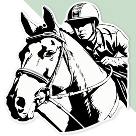 Extra Large 460mm 'Horse Rider' Permanent Sticker Decal for Cars/Windows/Bins/Walls (DW00121139)