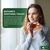 FreshDrinkUS, Premium Wormwood Tea - 75 Tea Bags - Handcrafted