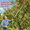 Fruit Picker Tool for Harvesting Apples and Peaches – High-Reach